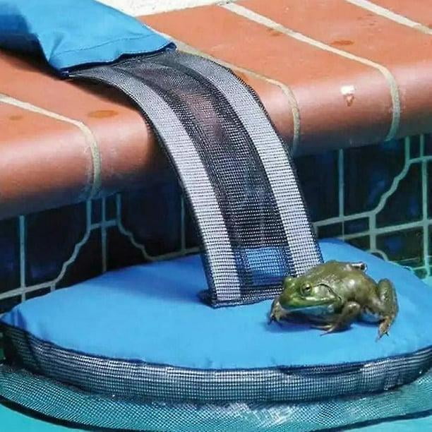 Good Quality Frogs And Birds Log Animal Rescue Escape Ramps For Swimming Pools, Blue, One Size