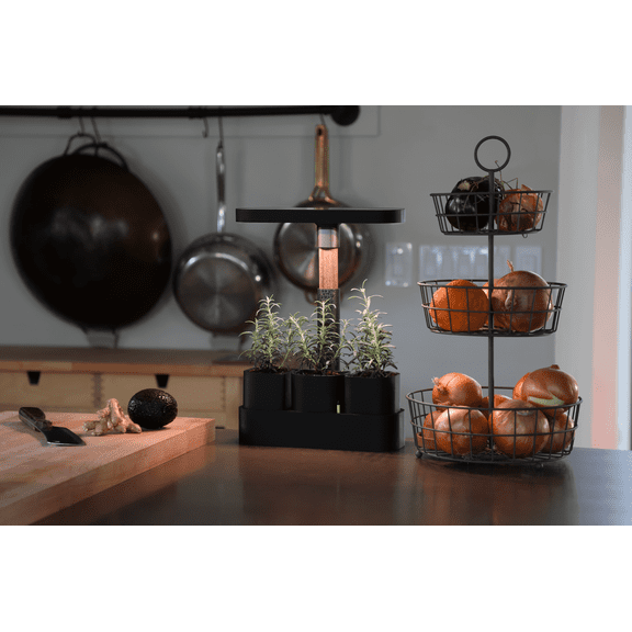 Good Root Tech Tabletop Planter, Black and Dark Oak, Decorative Indoor Plant Pot