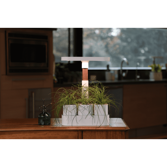 Good Root Tech Tabletop Planter, White with Dark Oak, Decorative Indoor Plant Pot