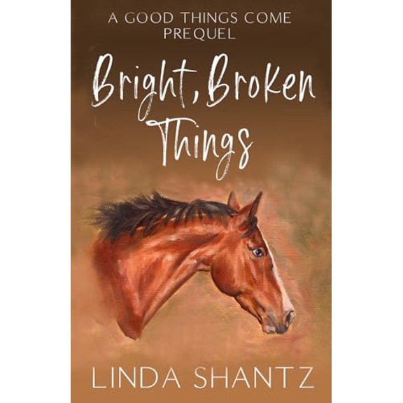 Pre-Owned Bright, Broken Things: Good Things Come Book 0.5 (A Prequel) (Paperback) 1990436110 9781990436116