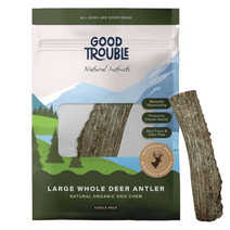 Large Whole Premium Wild Deer Antler Bone for Dogs by Good Trouble Pets