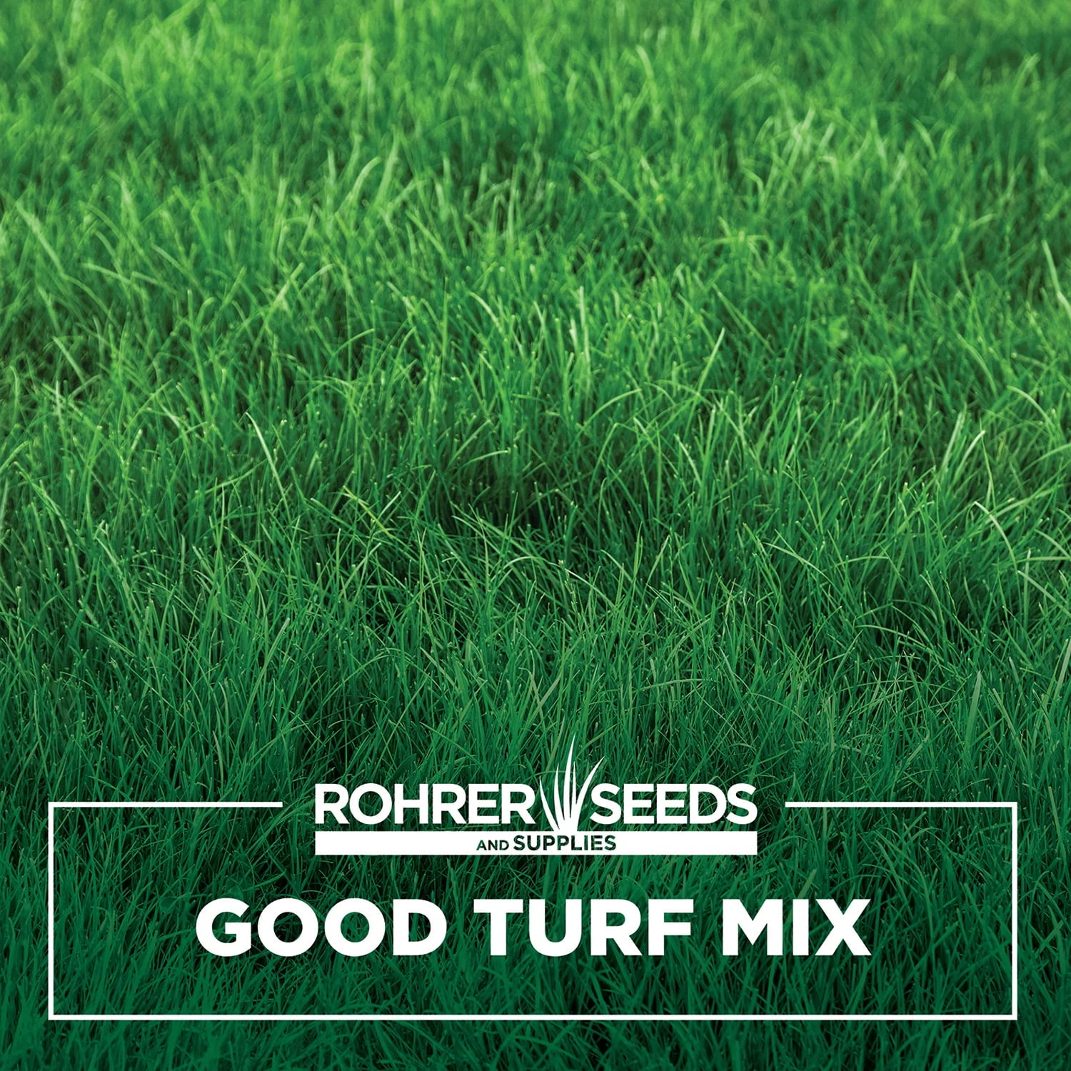 Good Turf Lawn Mix A Grass Seed Blend of Two Rye Grasses, Blue Grass