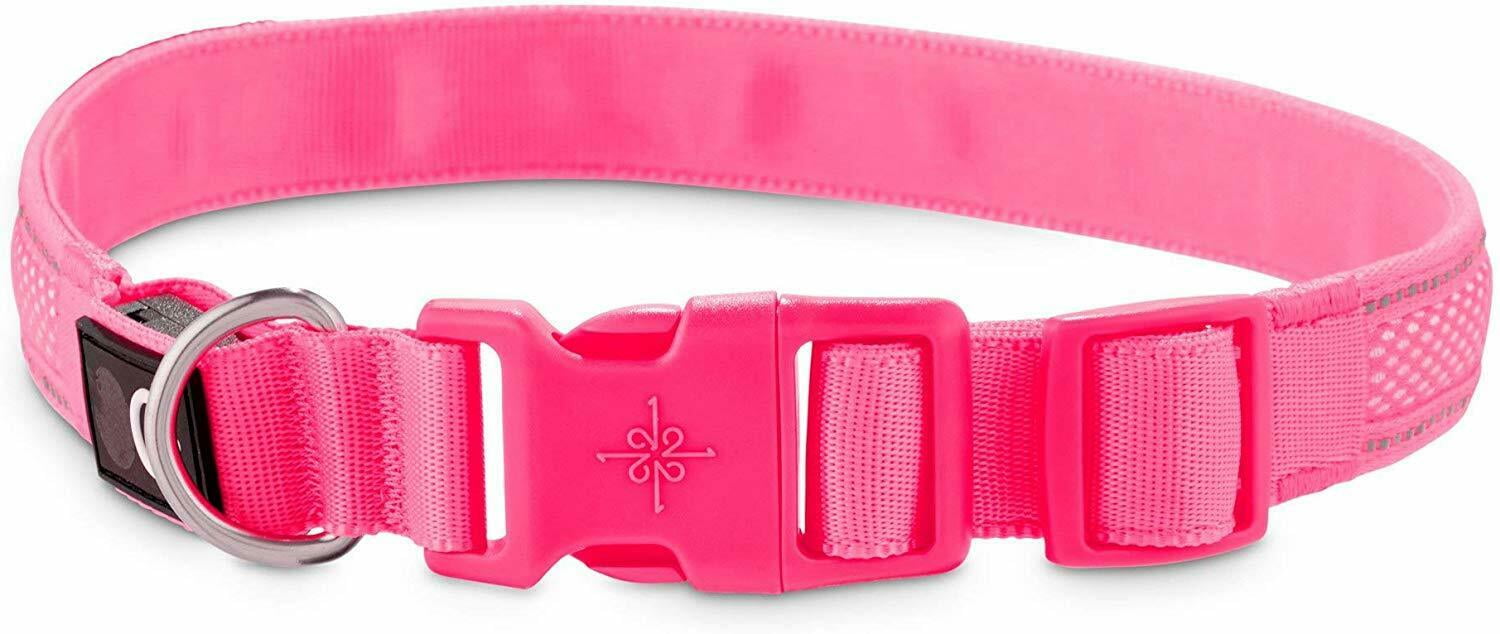 Good2Go LED LightUp Collar for Dogs, Pink Neon Size Small 10"14