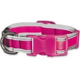 thumbnail image 1 of Good2Go LED Light-Up Collar for Dogs in Pink, Large, XL, 1 of 1