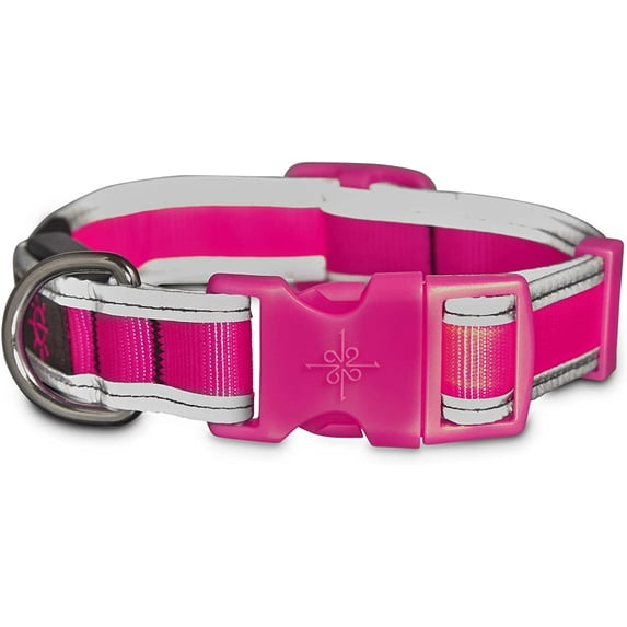 Good2Go LED Light-Up Collar for Dogs in Pink, Large, XL