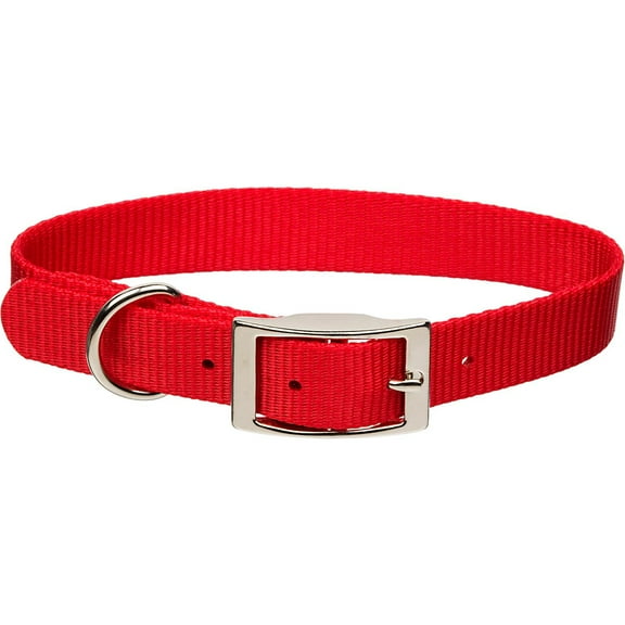 Good2Go LED Light-Up Collar for Dogs in Pink, Small