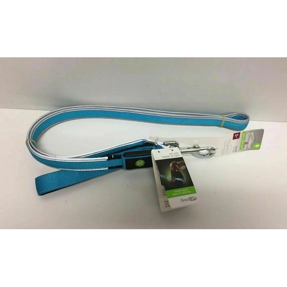 Good2Go LED Light-Up Leash for Dogs in Blue, 5 ft.