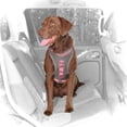 thumbnail image 1 of Good2Go Reflective Blue Diamond Dog Collar, Small, 1 of 1
