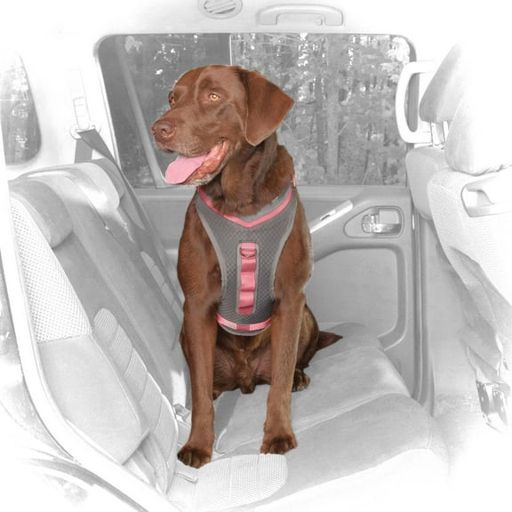 Good2Go Reflective Blue Diamond Dog Collar, Small