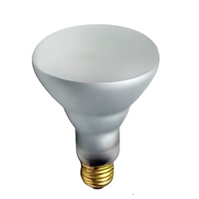 GoodBulb 45W BR30 Safe Shield Incandescent Flood Light Bulb E26 Medium Base 130V 1 Pack