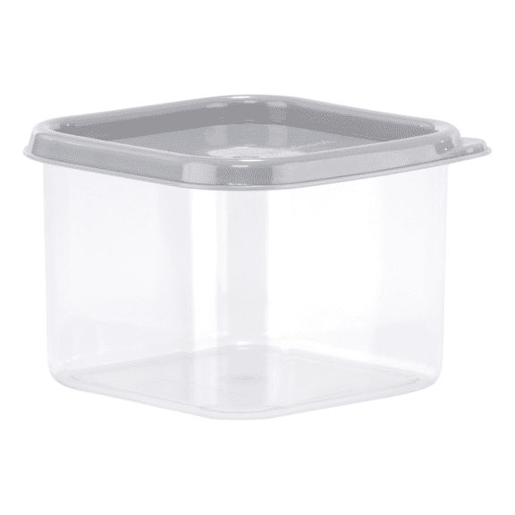 GoodCook Mini Square Container, .5 QT, Clear with Gray Lid, Made Without BPA