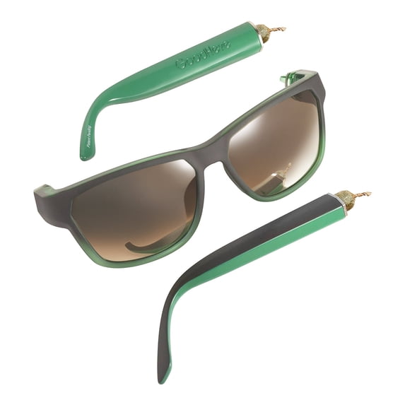 GoodHeye Premium Polarized Sunglasses with Hidden Storage