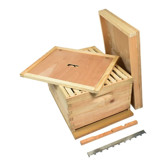 GoodLand Bee Supply GL-1BK Beekeeping Single Deep Beehive Kit includes Frames, Foundations, Brood Box, Spacer, Entrance Reducer, Inner Cover, Top and Bottom