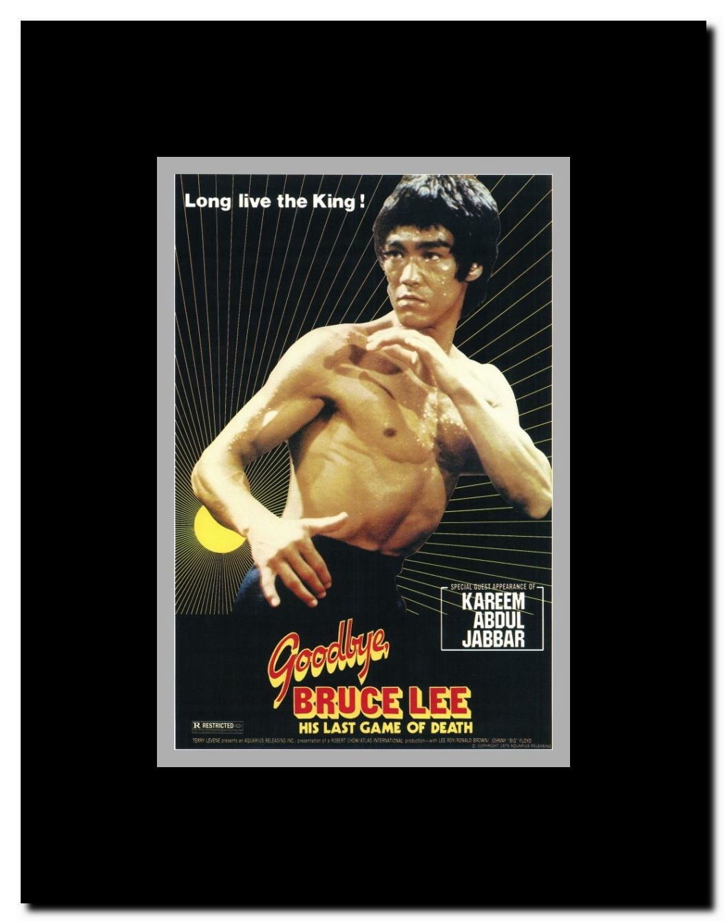 Goodbye Bruce Lee: His Last Game of Death Framed Movie Poster