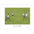 thumbnail image 1 of Goose Goodbye Card- Euripides Quote, 1 of 1