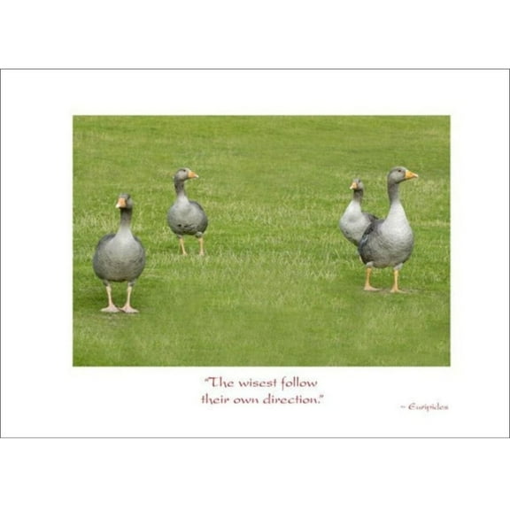 Goose Goodbye Card- Euripides Quote
