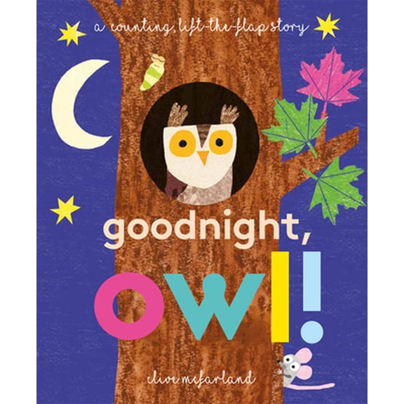 Pre-Owned Goodnight, Owl! (Board Book)