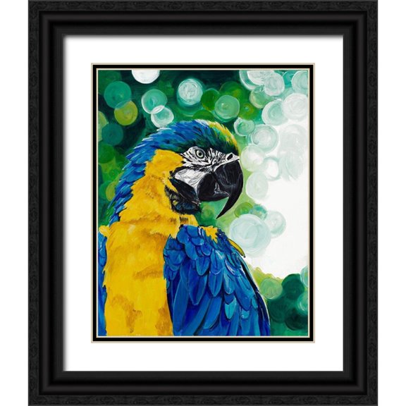 Goodrich, Chelsea 20x24 Black Ornate Wood Framed with Double Matting Museum Art Print Titled - Brilliant Parrot