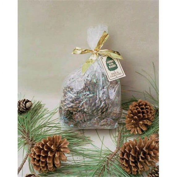 Goods Of The Woods 10106 Color Cones in Cello Bag