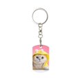 thumbnail image 1 of Goofa A Funny Cat Printed Rectangular Metal Keychain Bag Charm Floral Charm for Purse Keys Metal Keyring Gift for Women Accessories, 1 of 7