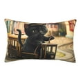 thumbnail image 1 of Goofa Adorable Kitten On Mini Train Pattern Pillow Case – Plush & Soft Cushion Cover, Hypoallergenic Throw Pillow Case for Comfortable Sleep with Envelope Closure-20"x30", 1 of 6
