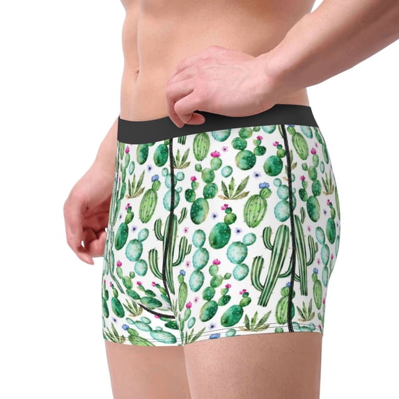 Goofa Cactus Plants1 Printed Men's Boxer Briefs Underwear, Moisture-Wicking Underwear, Trunk,Soft and Breathable Cotton Underwear-X-Large