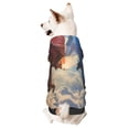 thumbnail image 1 of Goofa Cloud Red And Blue Dragon Pattern Small Dog Sweater Hoodies Pet Grey Hooded Soft Fleece Sweatshirts with Pocket Fall Winter Puppy Cat Sweaters Warm Clothes-Medium, 1 of 8