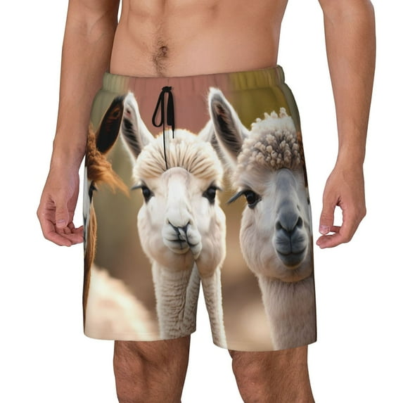 Goofa Cute Alpaca in Daze Printed Men's Swim Trunks Board Shorts Quick Dry Mens Swimming Trunks with Compression Liner,Breathable Fit Hawaii Beach Shorts-X-Large