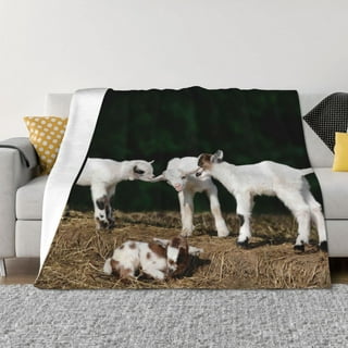 Goat Blanket Pattern