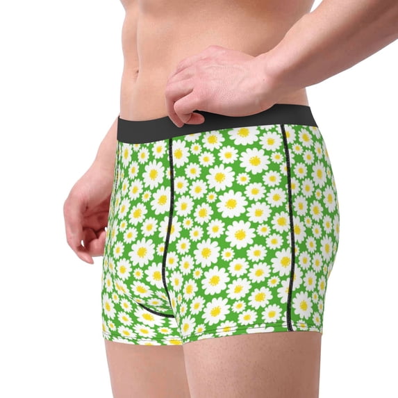 Goofa Daisies Flowers Printed Men's Boxer Briefs Underwear, Moisture-Wicking Underwear, Trunk,Soft and Breathable Cotton Underwear-X-Large