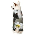 thumbnail image 1 of Goofa Daisy Guinea Pig Pattern Small Dog Sweater Hoodies Pet Grey Hooded Soft Fleece Sweatshirts with Pocket Fall Winter Puppy Cat Sweaters Warm Clothes-Large, 1 of 8