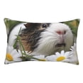 thumbnail image 1 of Goofa Daisy Guinea Pig Print Plush Throw Pillow Case, Soft Velvet with Hidden Zipper, Decorative Cushion Cover for Sofa, Bed, Car, and Home Décor-14"x20", 1 of 6