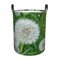thumbnail image 1 of Goofa Dandelion Flower In The Meadow Printed Circular Hamper,Laundry Basket with Handles,Storage Baskets Foldable,Large Capacity Laundry Hamper-Small, 1 of 6