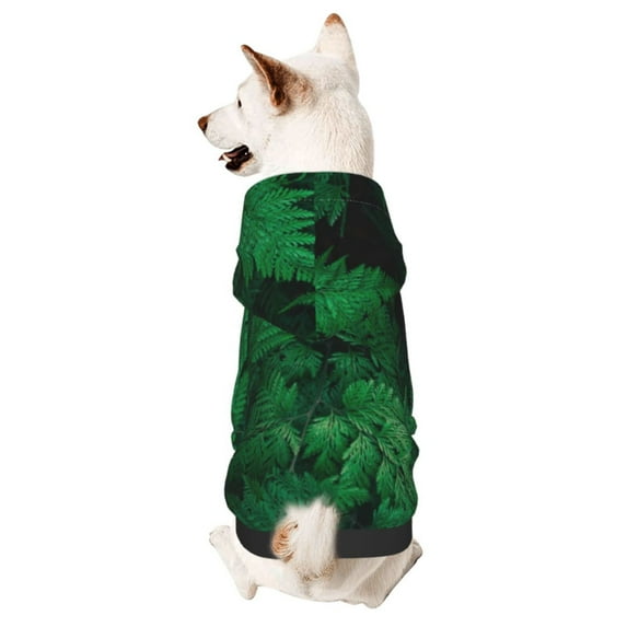 Goofa Green Leave Fern Pattern Small Dog Sweater Hoodies Pet Grey Hooded Soft Fleece Sweatshirts with Pocket Fall Winter Puppy Cat Sweaters Warm Clothes-X-Large