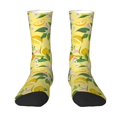 thumbnail image 1 of Goofa Lemon Printed Men's Crew Socks, Soft Durable Breathable Moisture-Wicking with Odor Control Cotton socks, 1 of 9