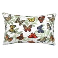 thumbnail image 1 of Goofa Multicolored Butterflies Print Plush Throw Pillow Case, Soft Velvet with Hidden Zipper, Decorative Cushion Cover for Sofa, Bed, Car, and Home Décor-20"x30", 1 of 6