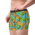 thumbnail image 1 of Goofa Pineapple Printed Men's Boxer Briefs Underwear, Moisture-Wicking Underwear, Trunk,Soft and Breathable Cotton Underwear-XX-Large, 1 of 9