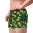 thumbnail image 1 of Goofa Pineapples with Palm Leaves Printed Men's Boxer Briefs Underwear, Moisture-Wicking Underwear, Trunk,Soft and Breathable Cotton Underwear-Large, 1 of 9
