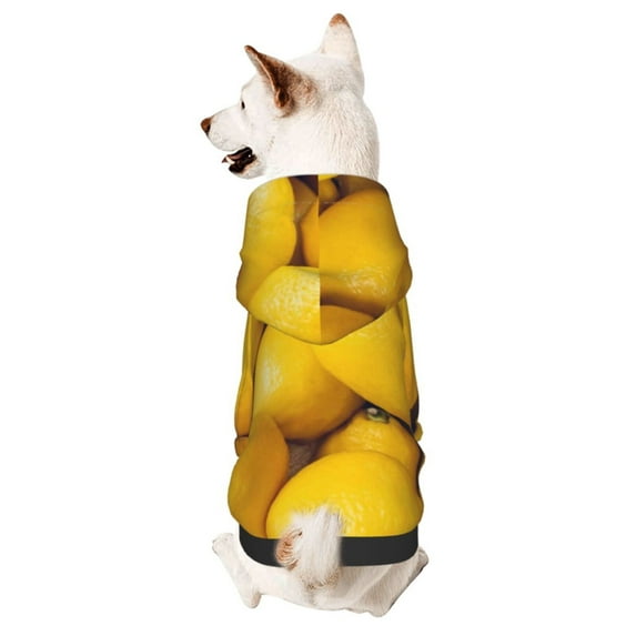 Goofa Ripe Yellow Lemon Pattern Small Dog Sweater Hoodies Pet Grey Hooded Soft Fleece Sweatshirts with Pocket Fall Winter Puppy Cat Sweaters Warm Clothes-Large