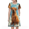 thumbnail image 1 of Goofa Sunshine Cloud Bulldog Pattern Women Summer Short Sleeve Midi Dress with Pockets Casual Aline Flowy Tshirt Dress Vocation Beach Sundress, 1 of 6
