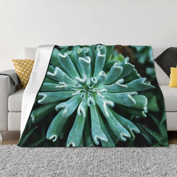 Goofa Teal Cactus Pattern Fleece Throw Blanket for Couch, Soft Checkered Flannel Blanket for Sofa, Warm Cozy Decorative Blanket Fall Decor Gift-