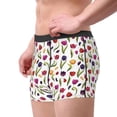 thumbnail image 1 of Goofa Tulips Flowers Printed Men's Boxer Briefs Underwear, Moisture-Wicking Underwear, Trunk,Soft and Breathable Cotton Underwear-, 1 of 9