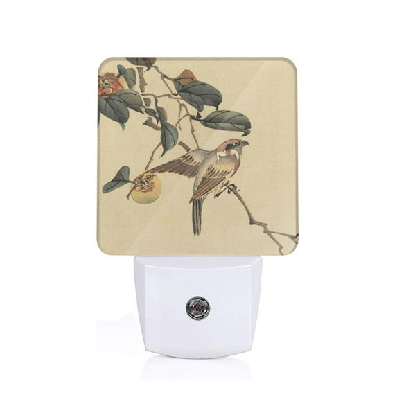 Goofa Vintage Bird Night Light, Plug-in, Dusk to Dawn Sensor, Warm White, Ambient Lighting, Ideal Kids Adults Nightlight-UK