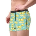 thumbnail image 1 of Goofa Yellow Lemon Printed Men's Boxer Briefs Underwear, Moisture-Wicking Underwear, Trunk,Soft and Breathable Cotton Underwear-, 1 of 9