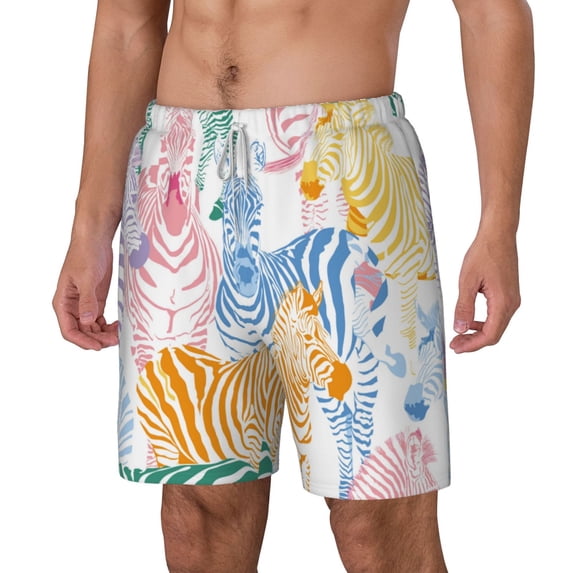 Goofa Zebra Colourful Printed Men's Swim Trunks Board Shorts Quick Dry Mens Swimming Trunks with Compression Liner,Breathable Fit Hawaii Beach Shorts-3X-Large