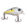 thumbnail interactive-video image 1 of Googan Squad Banger Sexy Shad Square Bill Crankbait 2 1/4" 3/8 oz 1pack, 1 of 7
