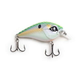 Googan Squad Poppin' Filthy Frog Leopard Frog Topwater 2 1/2 5/8 oz 1pack  