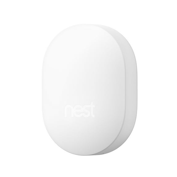 Google Nest Connect