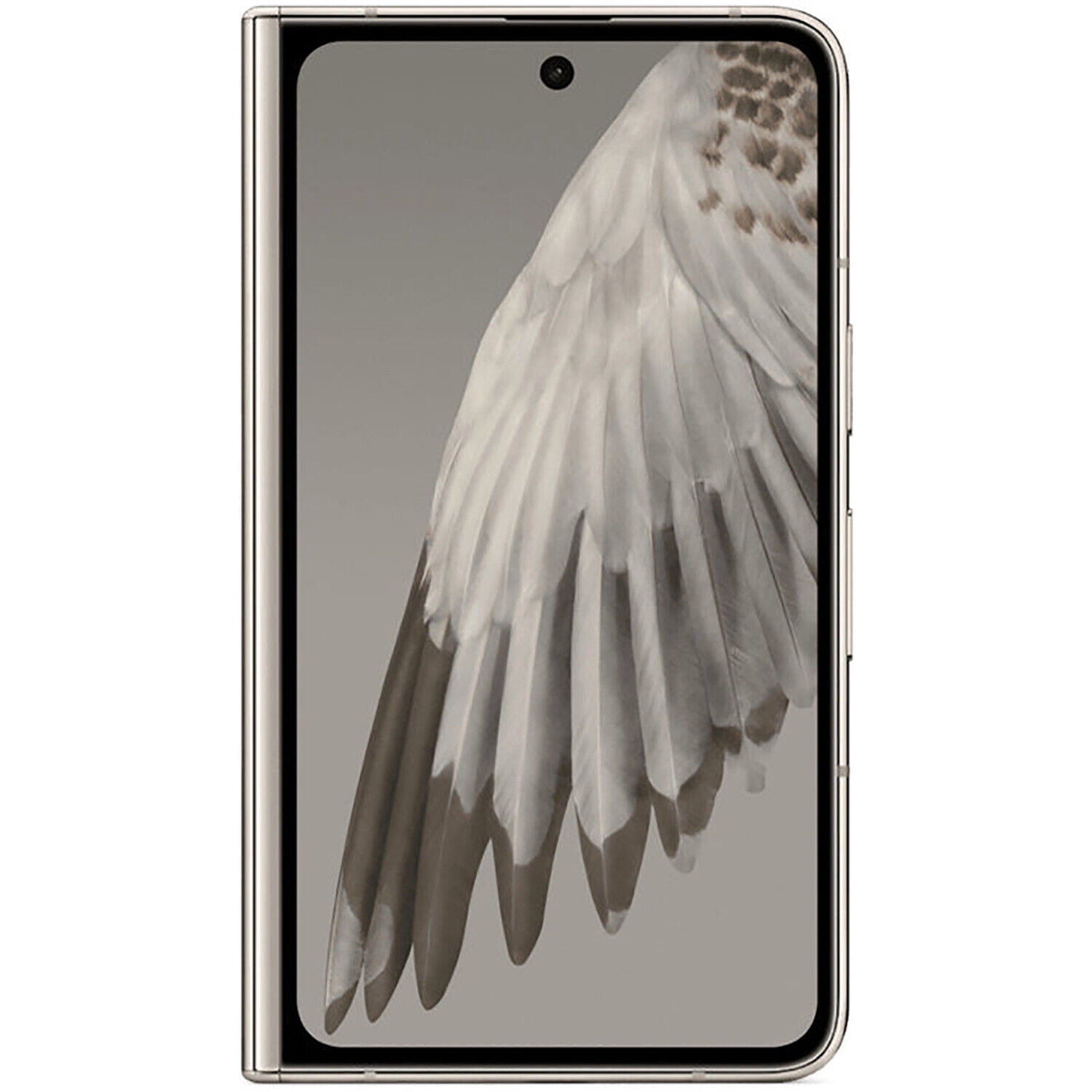 Pre-Owned Google Pixel Fold Dual-SIM 256GB ROM + 12GB RAM (Only 