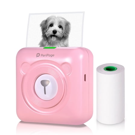 Pocket All-in-One Thermal Printer Wireless BT Picture Photo Label Memo Receipt Paper Printer AR Photo Function with USB Cable Support for Android iOS Smartphone Windows